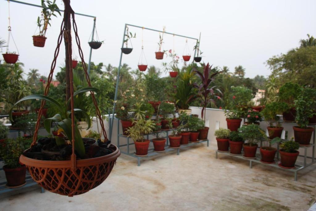 Aaron'S Homestay Kochi Zewnętrze zdjęcie